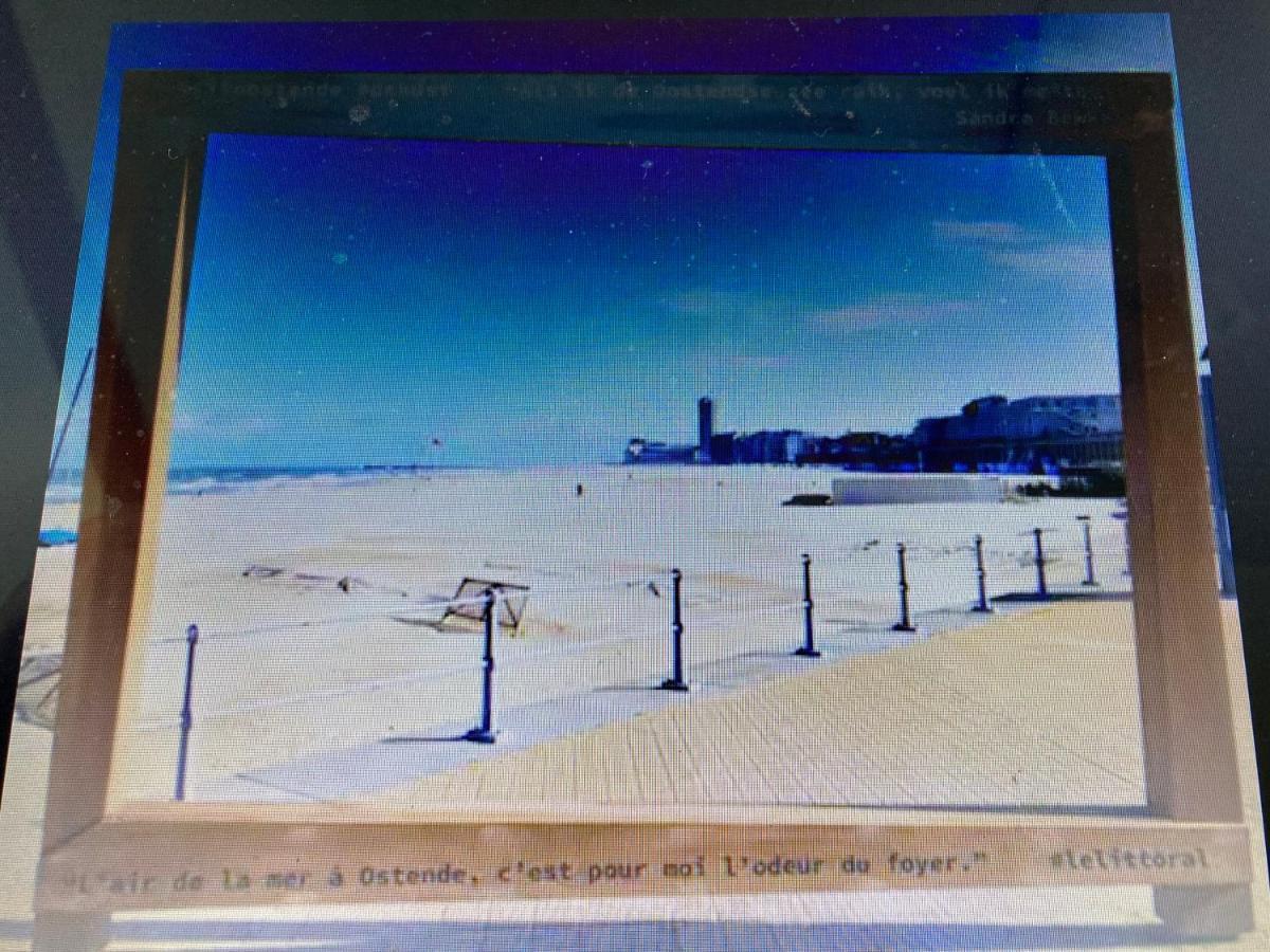 Tiny Apt W/ Balcony And Seaview, Even Out Of Your Bed ! 오스텐드 외부 사진